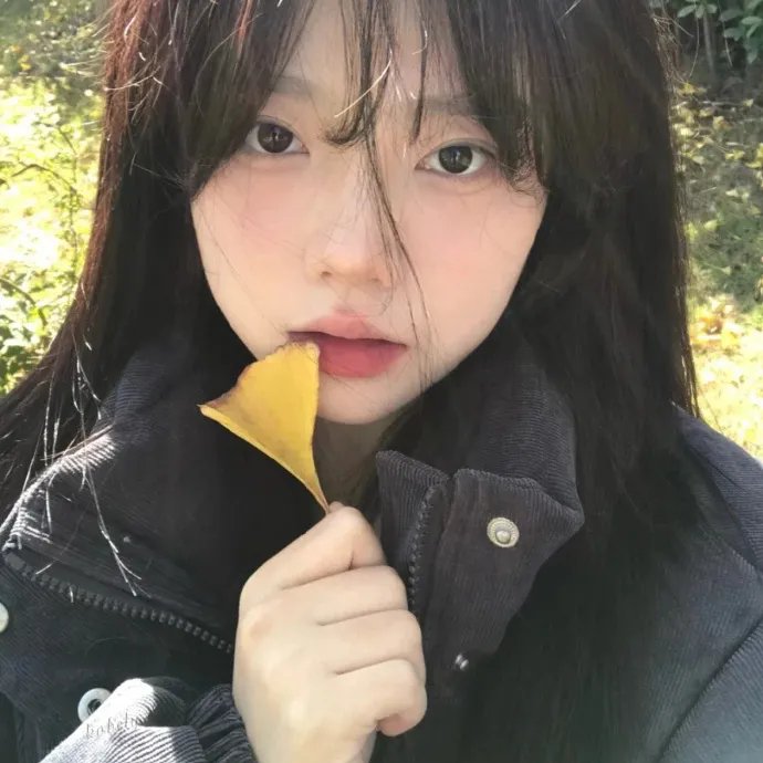 卡通一箩筐第二季