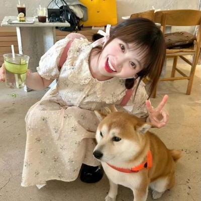 小甜饼